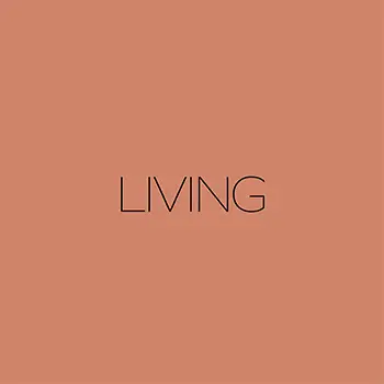 Asientos hogar Moving Chairs