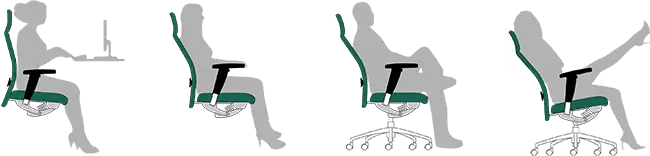 project wellness Crono 24 project wellness Crono 24
