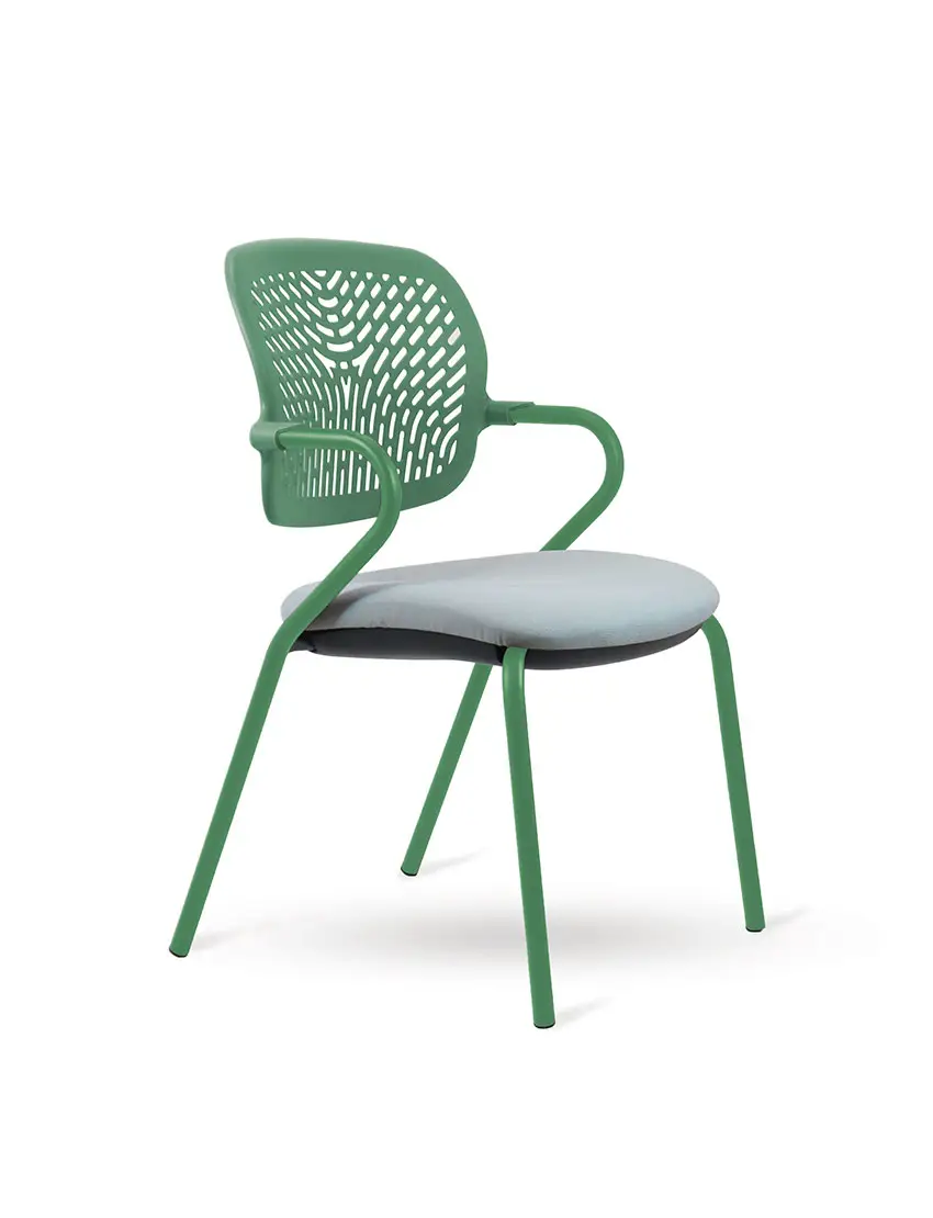 Asientos colectividades Flexa